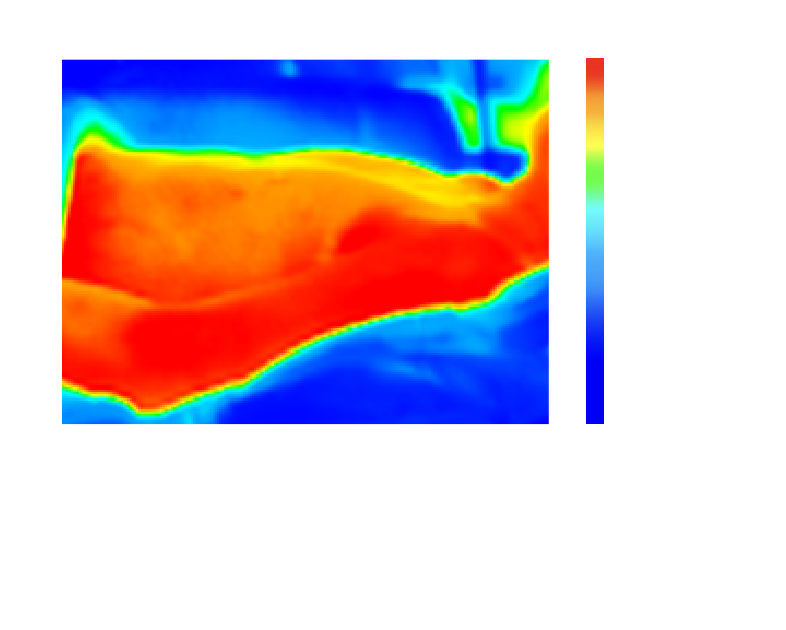 マイナス30度の環境下でも布団の中は快適な温度に保たれます。