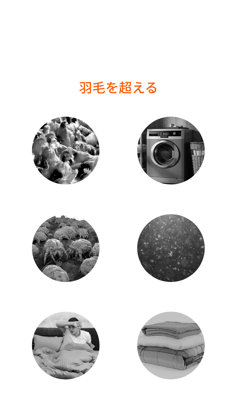 暖かいだけじゃない羽毛布団が持つデメリットを解消羽毛を超える 羽毛特有のニオイ 自宅で洗えない ダニが大量発生 ホコリ・アレルゲン 汗で蒸れる 収納が大変